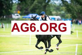 法甲第24轮雷恩vs图卢兹全场比赛录像回放2026年3月1日